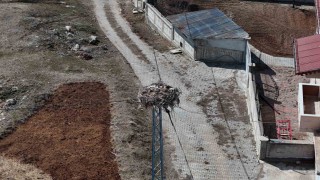 Sivasın ‘Leylekli köyü, baharın müjdeleyicilerini bekliyor
