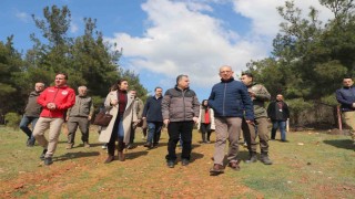 Sokak hayvanları için örnek proje