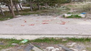 Sokaklara hayvanlar için atılan kokan ürünler vatandaşları çileden çıkarıyor