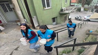 Somalı gençler Ramazan bereketini paylaştı