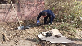 Sulama kanalında mahsur kalan yavru köpekleri itfaiye kurtardı
