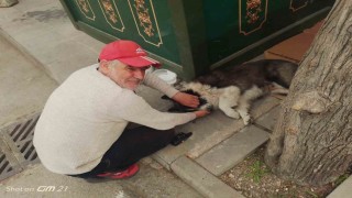 Taksi durağında sahiplendiği köpeğe çocuğu gibi bakıyor