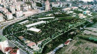 Talas Millet Bahçesinde sona doğru