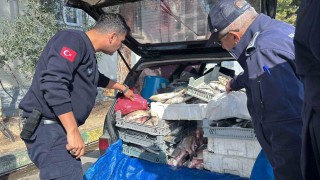 Tarsusta sağlıksız şartlarda ele geçirilen 750 kilo balık imha edildi