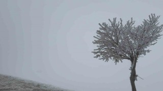 Tatvan-Bitlis ve Bitlis-Güroymak arası yoğun sisle kaplandı