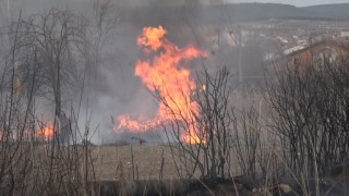 Tavşanlıda arazide çıkan yangın bahçe evlerine ulaşmadan söndürüldü