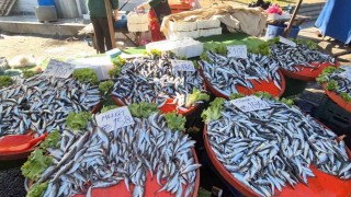 Tekirdağda hamsi ve istavritin kilosu 100 liradan satıldı