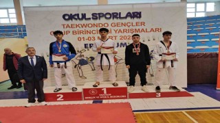 Tekwondodan Elazığa 9 madalya