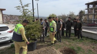 Tosya Adalet Sarayı bahçesinde fidanlar toprakla buluşturuldu