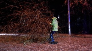 Trafik polisleri yola devrilen ağaç için seferber oldu