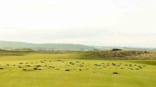 Trumpın İskoçyadaki golf kulübünde Filistin eylemi: Gazze satılık değildir