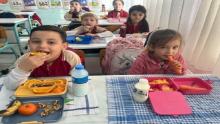 Türkiyenin en kapsamlı sağlıklı beslenme ve hareketli yaşam projesi Bursada hayata geçiyor