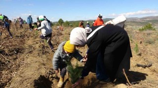 Uşakta 3 bin 200 adet fidan toprakla buluştu