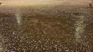 Uşakta dolu yağışı etkili oldu