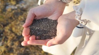 Uzmanı açıkladı: Sahurda chia tohumu tüketin susuz ve aç kalmayın