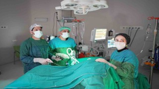 Uzmanından kolon kanseri uyarısı