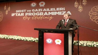 Vali Tavlı: Ülkemiz, demir yumruğunu daima hazırda tutmaktadır