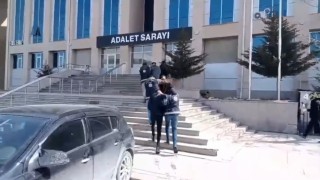 Vanda 3 organizatör tutuklandı