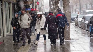 Vanda kar yağışı hayatı olumsuz etkiledi