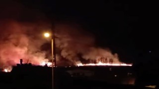 Vanda sazlık alanda yangın