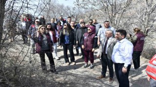 Yabani sakız ağaçları, Ankara fıstığı olacak