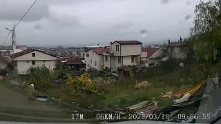 Yalova Valiliği: Köpeklerin saldırısına uğrayan küçük yavrumuz için adli ve idari süreç başlatıldı