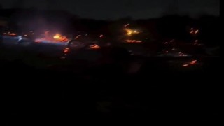 Yalovada orman yangını