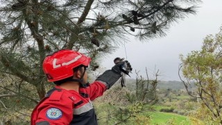 Yaralı Alabak Kuşunu itfaiye ekipleri kurtardı