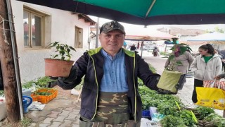 Yazlık sebzelerin fide satışlarına başlandı