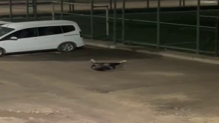 Yere yığılan şahıs hastaneye kaldırıldı