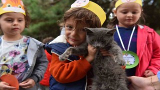 Yıldırımda 625 patili dost sıcak yuvaya kavuştu