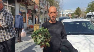 Yılın ilk kuzu kulağı tezgahlardaki yerini aldı