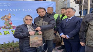 Yozgatta 4 milyon fidan toprakla buluşacak