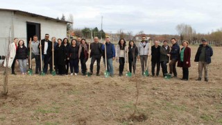 Yükümlüler 10 çeşit 250 meyve fidanı toprakla buluşturdu