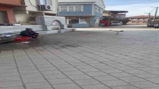 Yusuf dayının leyleği Bilal bu yıl da geldi