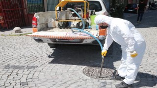 Zeytinburnu Belediyesinden sivrisinek sorununa erken müdahale