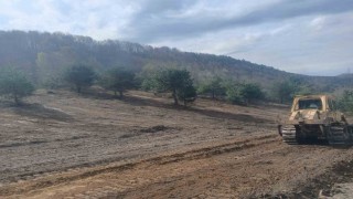 Zonguldakta sokak hayvanları için çalışmalar hız kazandı