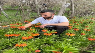 20 günlük ömrü var, zarar vermenin cezası 244 bin lira