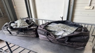 23 kilo 800 gram esrarı Türkiyeye sokacaklardı