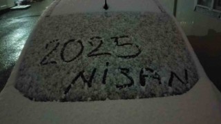 Adıyamanın Gölbaşı ve Besni ilçeleri beyaza büründü