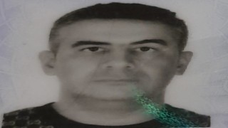 Ağaca çarpan otomobil sürücüsü hayatını kaybetti