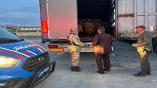 Ağrıdan çalınan koyunlar Bitliste yakalandı