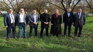 AK Parti milletvekillerinden Malatyada kayısı incelemesi: Üreticimizin yanındayız
