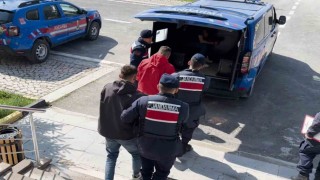 Aksarayda küçükbaş hayvan hırsızlığına 1 tutuklama