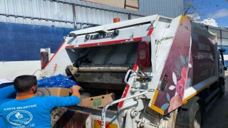 Alanyada 85 kilo kokmuş balık imha edildi