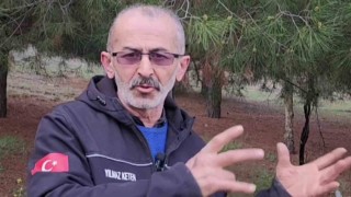 Amasyanın yılkı atları kar üstünde görüntülendi