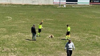 Amatör müsabakada sahaya giren köpeğe kırmızı kart