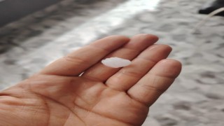 Ankarada dolu tarım arazilerinde zarara yol açtı