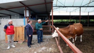 ‘Anneleri Aşılat, Buzağını Yaşat projesi eğitim toplantısı Ortacada gerçekleştirildi