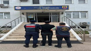 Antalyada aranan 279 kişi yakalandı